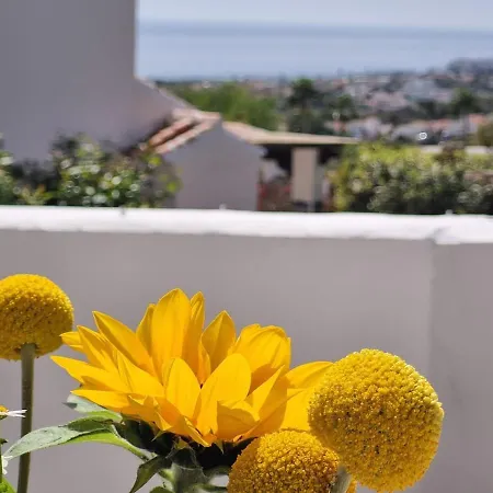 Apartman In Nerja