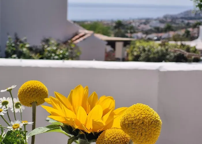 Apartman In Nerja